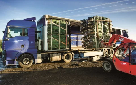 没有卡车，圣诞节会怎样？仅DSV一家就运输了150万棵圣诞树！