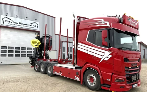 瑞典的DAF XG木材运输车：八轴配置、斯堪的纳维亚风格改装